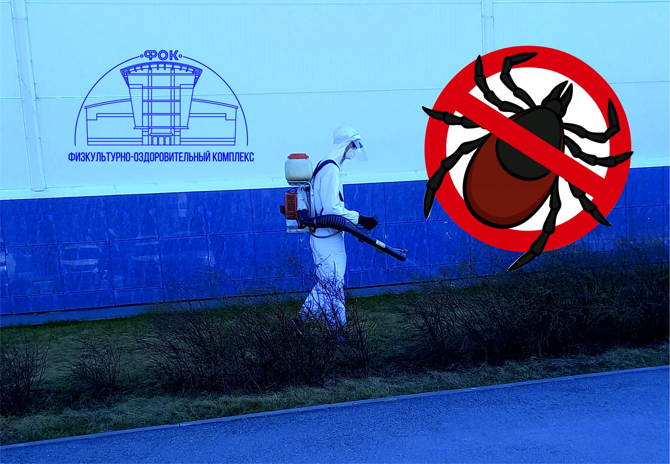 Изображение новости